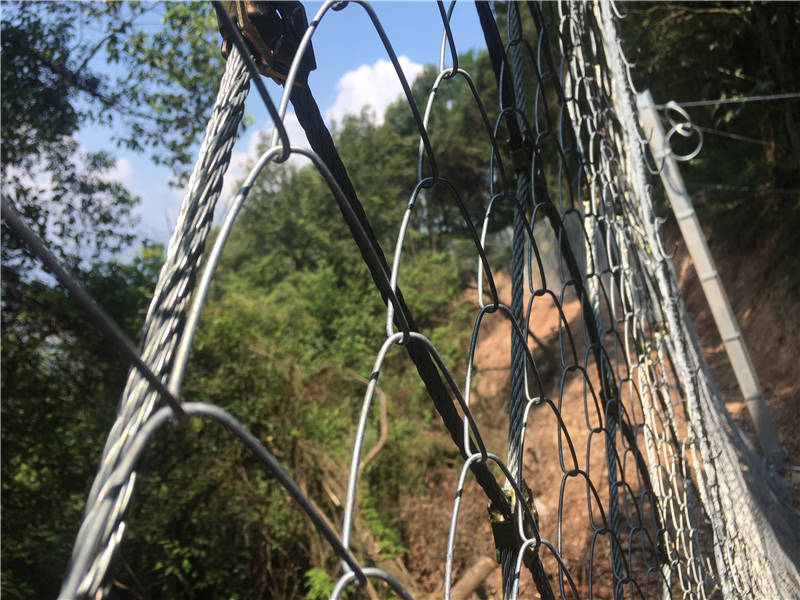 ����߅�·��o�W(w��ng)